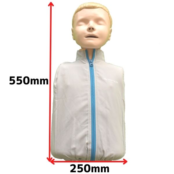 【レンタル(1ヶ月未満)】トレーニング用人形(成人・小児)※往復送料無料