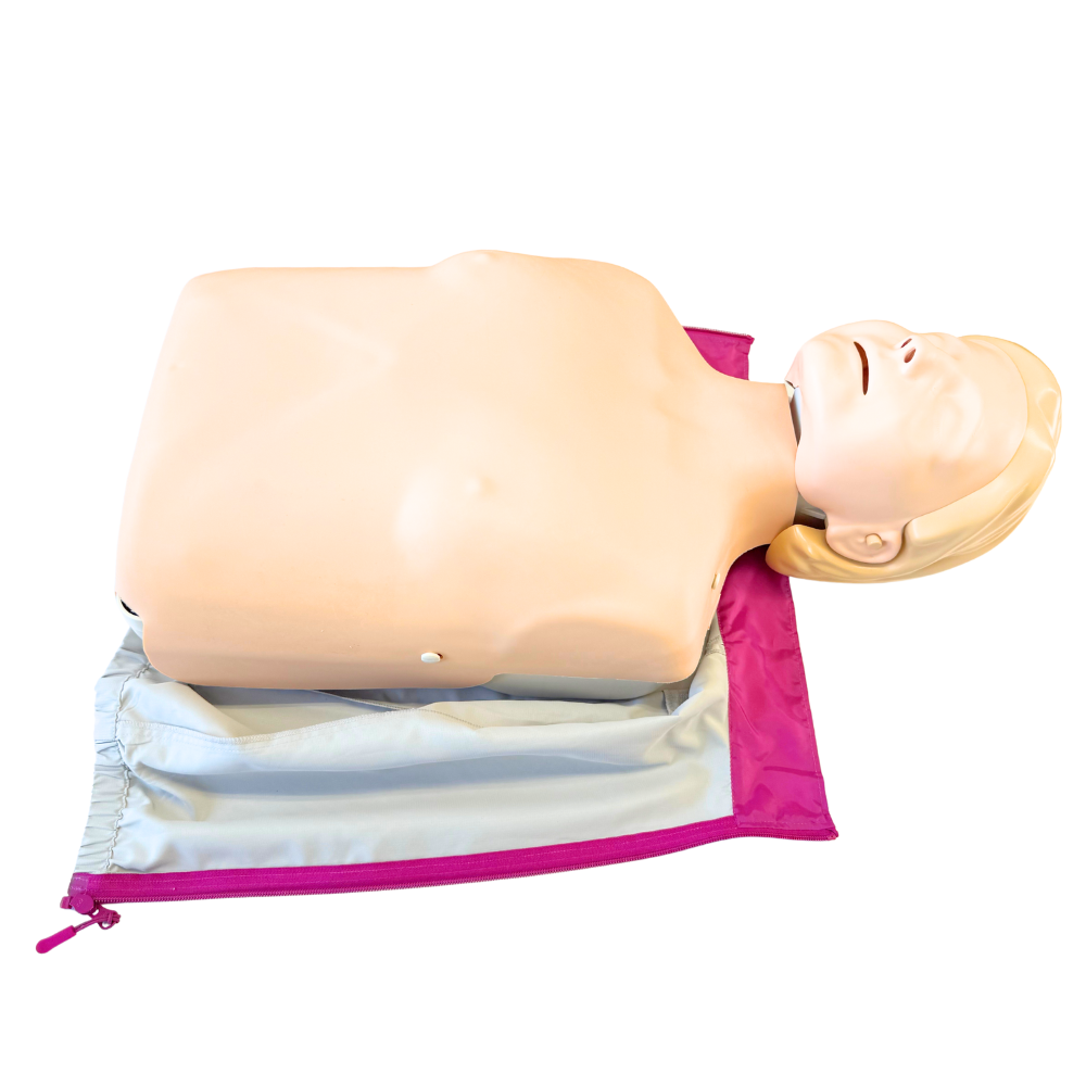 成人トレーニング人形（リトルアンQCPR）